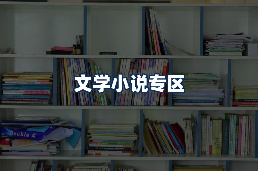 文学小说PDF展示